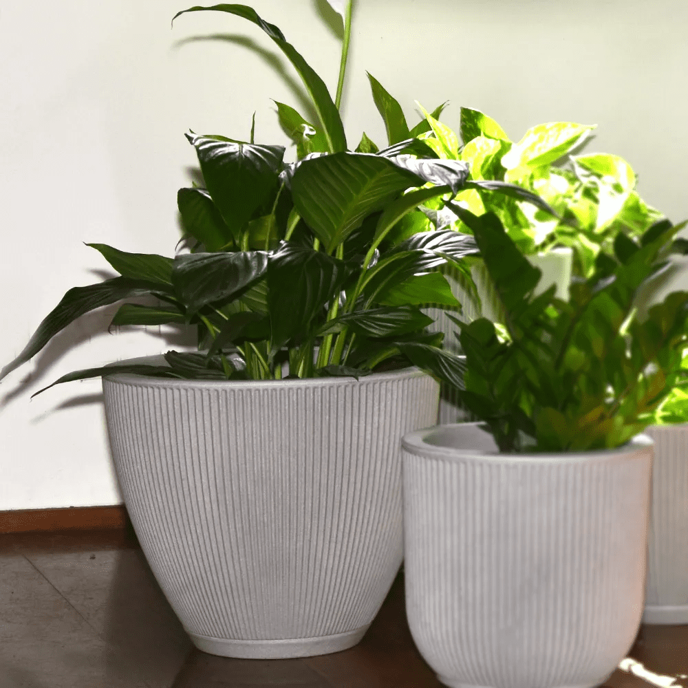20" Wide Planter | Eco-Friendly Round Planter for Indoor or Outdoor Deck/Porch | Durable All-Weather Use Modern Pot for Trees, Flowers, Plants - Gray Cement