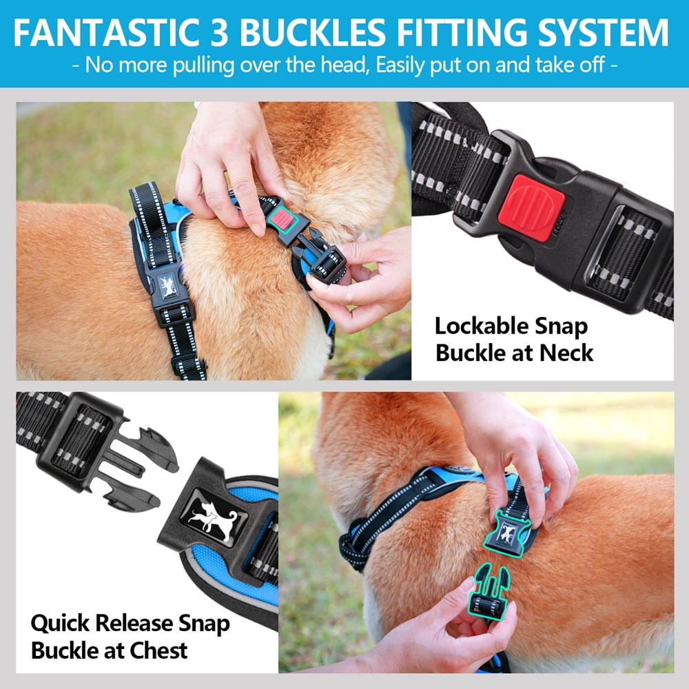 PoyPet Dog Harness and Leash Combo, Escape Proof No Pull Vest Harness, Reflective Adjustable Soft Padded Pet Harness with Handle for Small to Large Dogs