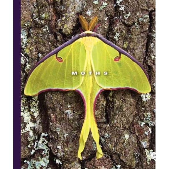 Pre-Owned Moths (Library Binding) 1592968244 9781592968244