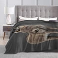 thumbnail image 3 of Plush Micro Fleece Blanket for Bed and Couch - Soft and Cozy Animal Design Throw Cover, 3 of 4