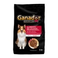 thumbnail image 1 of Croquetas para Perro Ganador Premium Adulto Raza Grande 15 kg, 1 of 6