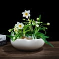 thumbnail image 2 of Wweixi Lotus Bowl Flowerpot Small Flowering Plants Hydroponic Flowerpot Provides type+2, 2 of 5