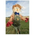 thumbnail image 1 of Kevin Milner Scarecrow Countryside Greetings Card, 1 of 1