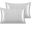 Silver Gray