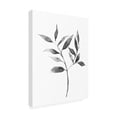thumbnail image 2 of Trademark Fine Art 'Brume Botanical II' Canvas Art by Emma Scarvey, 2 of 3