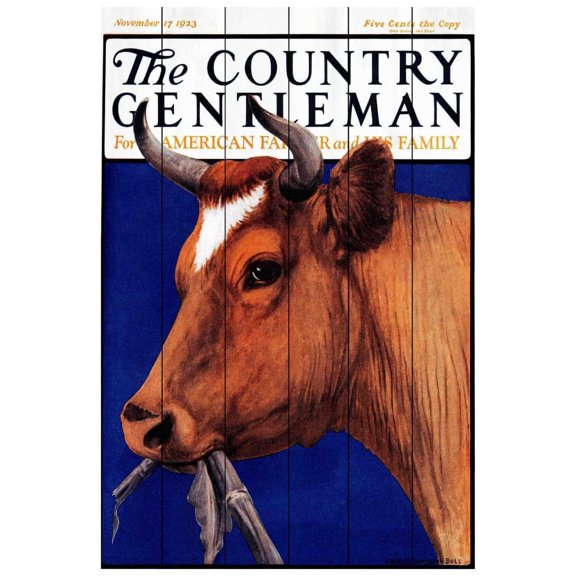 Marmont Hill "CG Cow Brown" Painting Print on White Wood