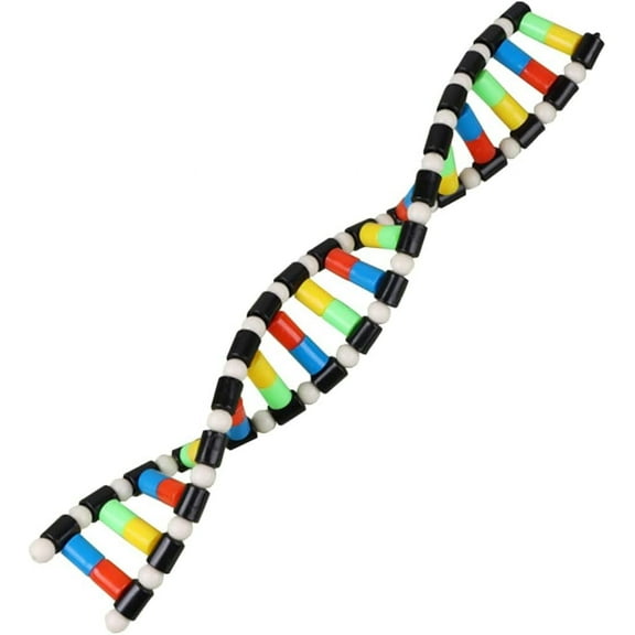 ABCISI DNA Double Helix Structure Models Kit Biological Science Popularization Teaching Aid for DNA Assembling, Educational Learning for School Student