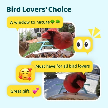 Smart Bird Feeder Camera, Netvue Birdfy Automatic Outdoor Bird Accessories with APP Notification AI Recognition Night Version Waterproof for Yard/House Buddy