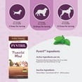 thumbnail image 2 of Amber NaturalZ Pyntril Peaceful Mind for Pets | Herbal Pet Supplement for Relaxation 1oz, 2 of 6