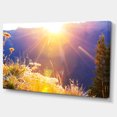 thumbnail image 2 of Fleurs de Prairie Rurale au Coucher du Soleil - Paysage Toile Art Print, 2 of 3
