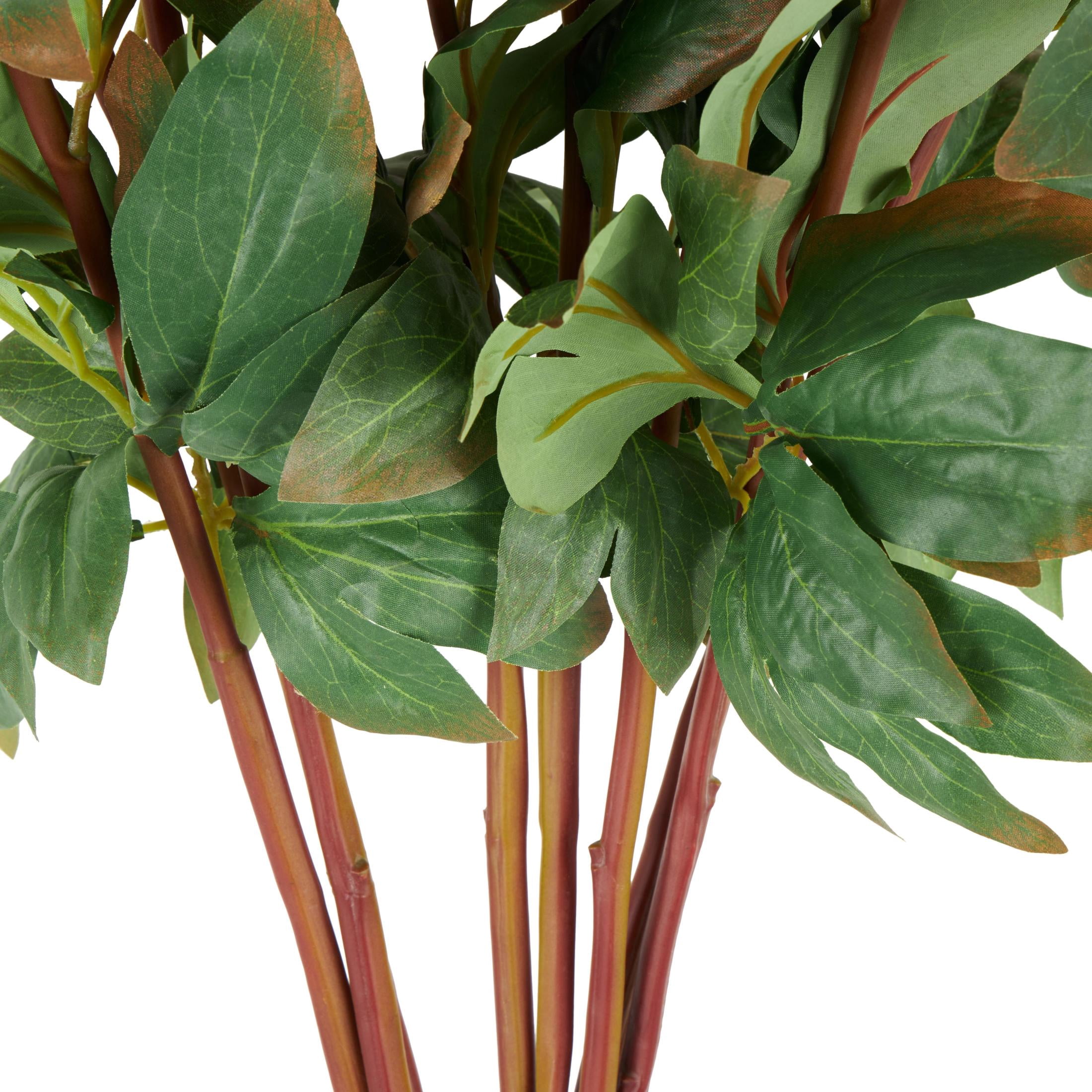31" Plastic Floral Tall Peony Artificial Flower Stem, by DecMode (8 Count)