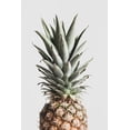 thumbnail image 2 of 1x Studio III 13x18 Black Ornate Wood Framed with Double Matting Museum Art Print Titled - Pineapple Natural, 2 of 4