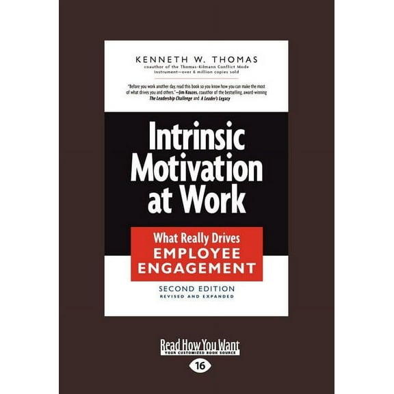 Intrinsic Motivation at Work: What Really Drives Employee Engagement (Large Print 16pt), (Paperback)