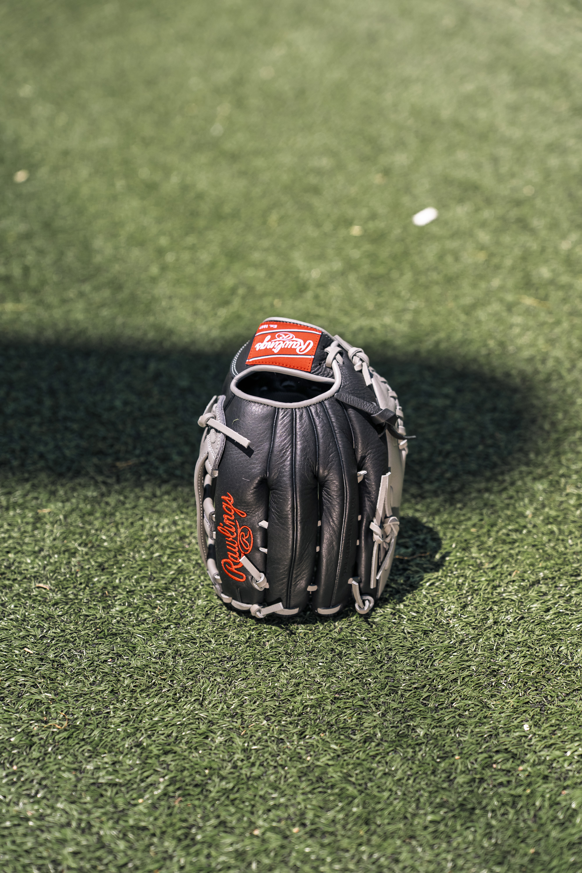 Rawlings Pro Select Series 12.5 In. Baseball Glove photo 7