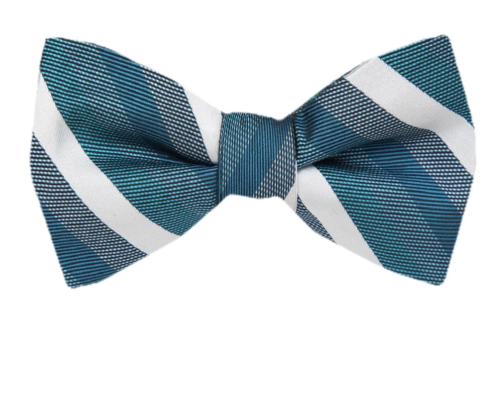 Mens Pre-Tied Bow Ties Designer Fashion