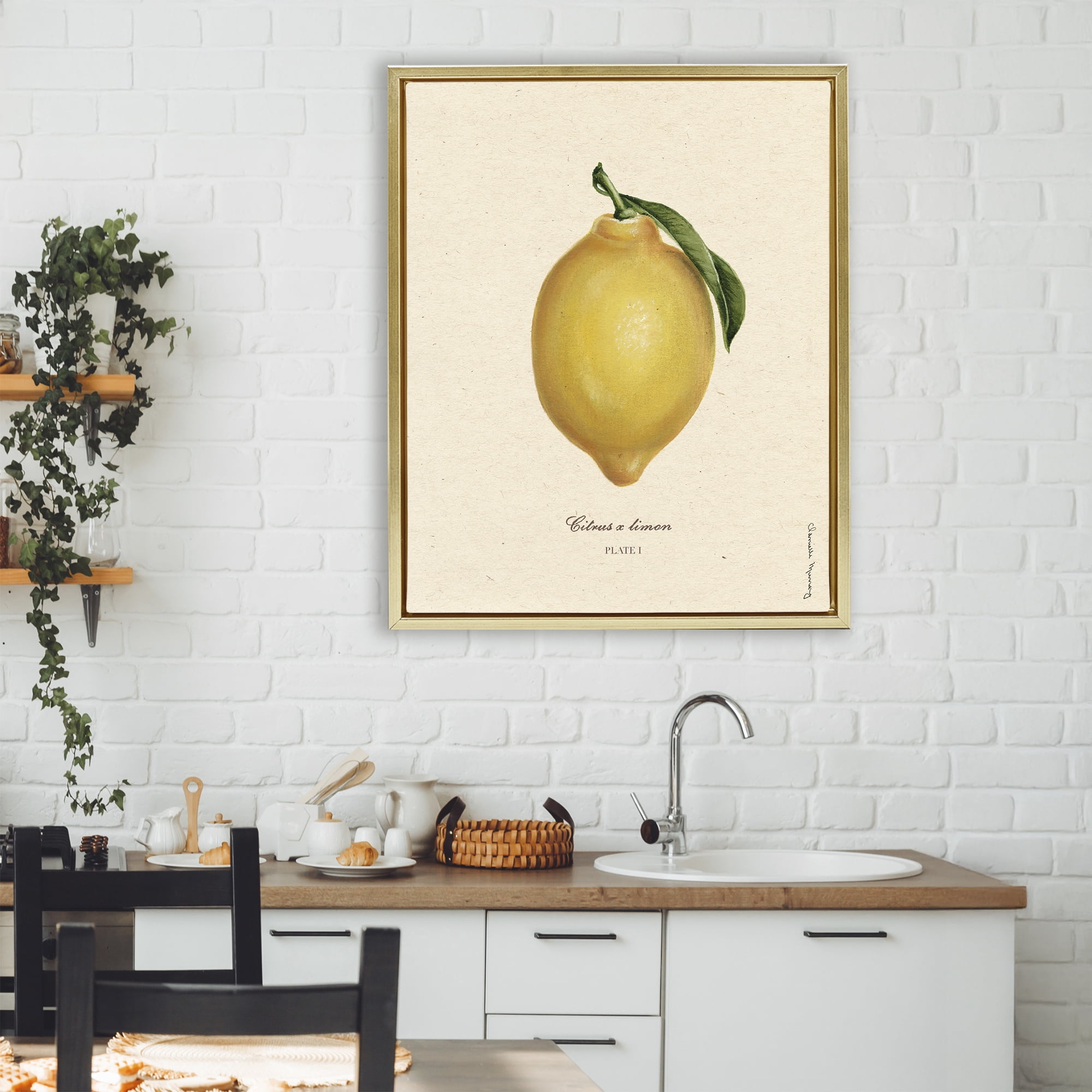 Stupell Industries Lemon Fruit Portrait Gold Framed Floater Canvas Wall Art, design by Danielle Murray