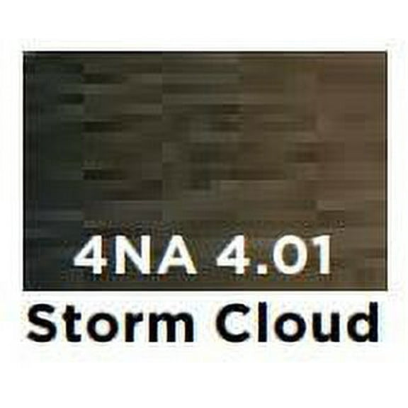 Redken Color Gel Lacquers - 4NA/4.01 Storm Cloud - Pack of 1 with Sleek Comb