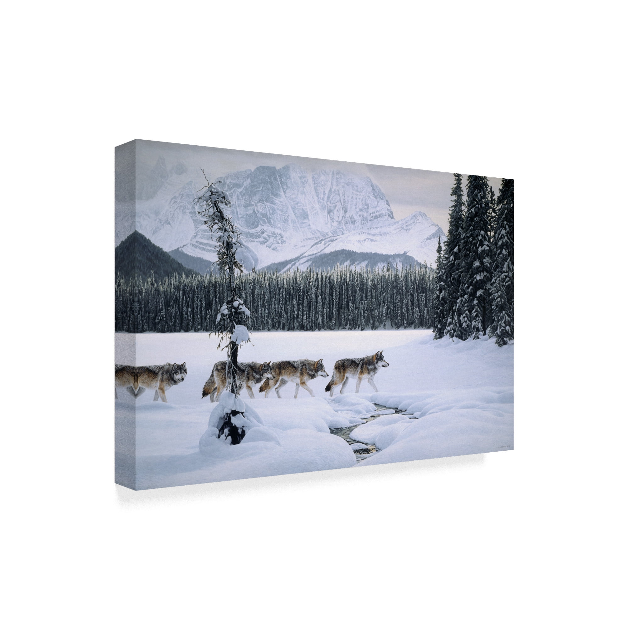 Trademark Fine Art 'Emerald Lake' Canvas Art by Ron Parker