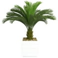 thumbnail image 2 of Artificial Real Touch Indoor Outdoor 54" Tall Cycas Palm Tree And 14" Fiberstone Planter, 2 of 2