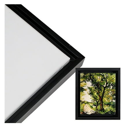 Creative Mark Illusions Floater Frame for 3/4 Inch Depth Stretched Canvas Paintings & Artwork - [Black] Parent