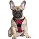 thumbnail image 2 of Pechera / Arnes Para Perros Que No Lastima. Talla Mediana, 2 of 8