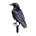 thumbnail image 2 of Clearance Black Crow Yard Stake Spooky Outdoor Garden Decor for Halloween and Themed Party Atmosphere(A), 2 of 4