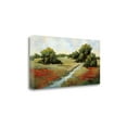 thumbnail image 2 of Tangletown Fine Art 'Kissimmee Grasslands' by Maija Baynes Graphic Art on Wrapped Canvas, 2 of 2