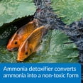 thumbnail image 4 of Detoxificador de Amoníaco API POND AMMO LOCK Botella de 1,9 L, 4 of 6