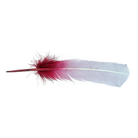Ombre Turkey Quill Feathers 10-12 inches - 2 pc- Burgundy - Silver