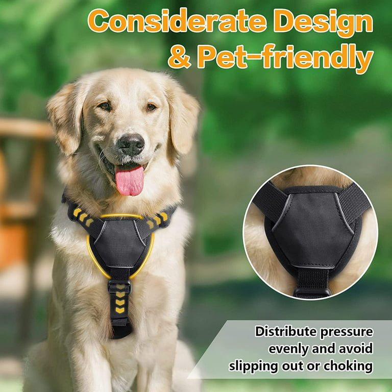 Gold Dog Chain Collar Walking Metal Chain Collar with Design - Inspire  Uplift