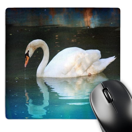 3dRose  Beautiful White Swan n Reflection  MousePad price history on PriceWatchPro