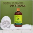 thumbnail image 3 of SheaMoisture Power Greens Daily Shampoo for Curly Hair, Moringa and Avocado, 13 fl oz, 3 of 13