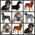 thumbnail image 2 of Custom Dog Portraits [Dachshund Longhair] Embroidery Iron On/Sew Patch [6" x 5"], 2 of 2