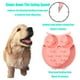 thumbnail image 5 of Cuenco para perros con alimentador lento sin BPA - Comedero lento para perros grandes, medianos y pequeños - Cuenco para perros con comedero lento Adepaton CPB-US-ZMR38-2, 5 of 5