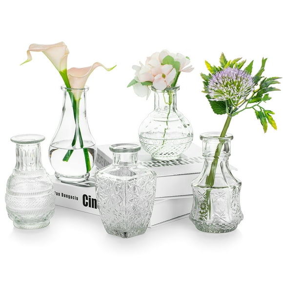 Vase en Verre pour Fleurs Ensemble de 5 Vase à Bourgeons Vintage Clair Vase à Pois Doux pour Table Pièce Maîtresse Décoration Intérieure Mariage