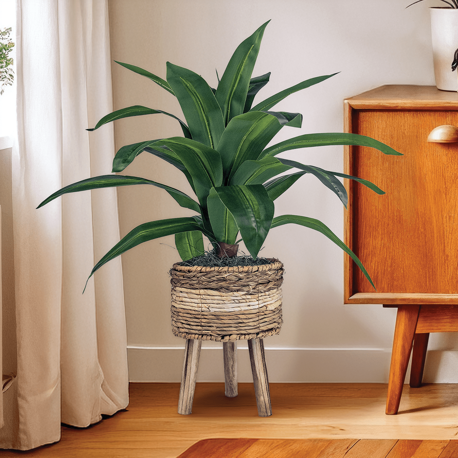 LCG Florals Artificial Plant, Dracaena Plant, 2 ft, Multi-Color Tripod Basket Stand, Faux Designer Indoor Plant for Living Room, Office, & Home Décor