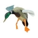 thumbnail image 3 of Modelos De Patos Reales Movimiento De Rotación Del Viento Para La Caza De Patos Con Mosca Señuelo De Pato Real, 3 of 8