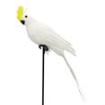 thumbnail image 2 of Cheer.US 25/35cm Parrot, Realistic Parrot Party Decoration with Lifelike Feathers, Artificial Parrot Bird for Tropical Party and Home Décor, Feathered Parrot on Shoulder Prop, 2 of 7