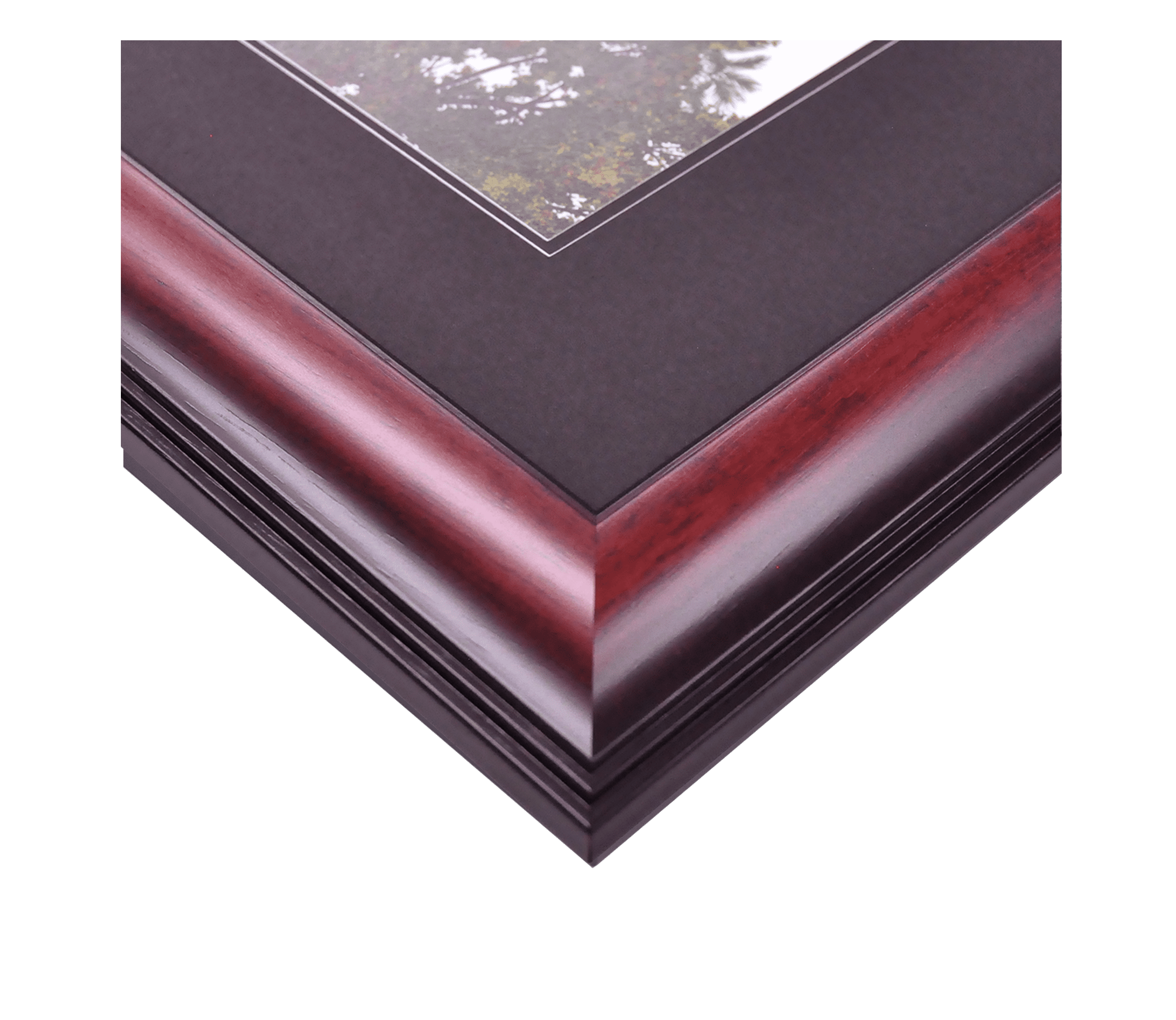 Texas A&M University 12.5" x 16" Diplomate Diploma Frame