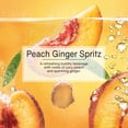 thumbnail image 3 of Little Trees Air Freshener Peach Ginger Spritz Fragrance 3-Pack, 3 of 8