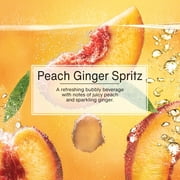 (3 pack) Little Trees Air Freshener Peach Ginger Spritz Fragrance 3-Pack