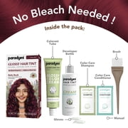 Paradyes Ruby Rush No Bleach Glossy Hair Tint