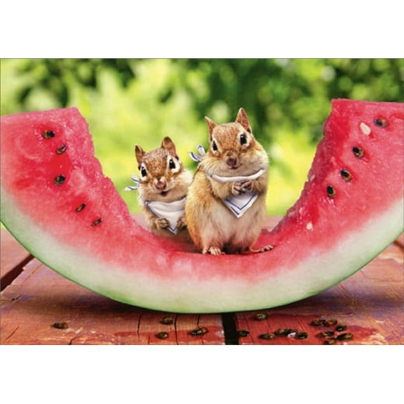 Avanti Press Chipmunk Watermelon Humorous / Funny Birthday Card