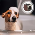 thumbnail image 1 of OUNONA Pet Hair Dryer Bathrobe for Drying Dogs 600D Oxford Cloth 1Set Multi-functional Design, 1 of 8