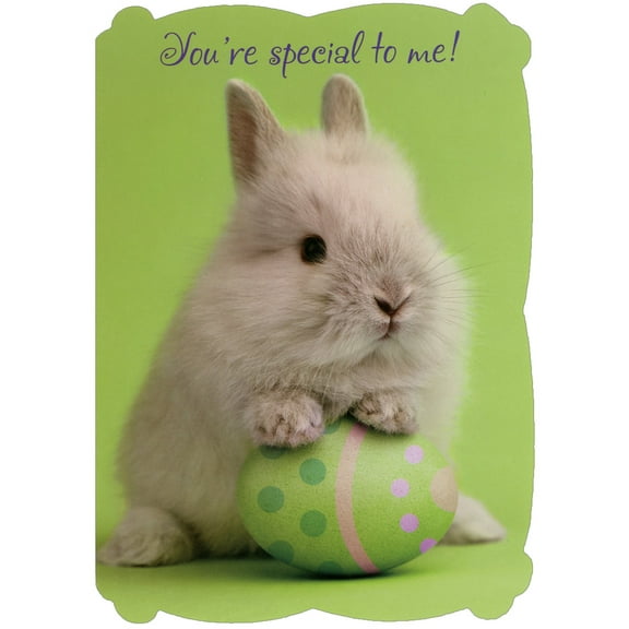 RSVP Bunny with Paws on Green Polka Dotted Egg Die Cut Photo Thinking of You Easter Card