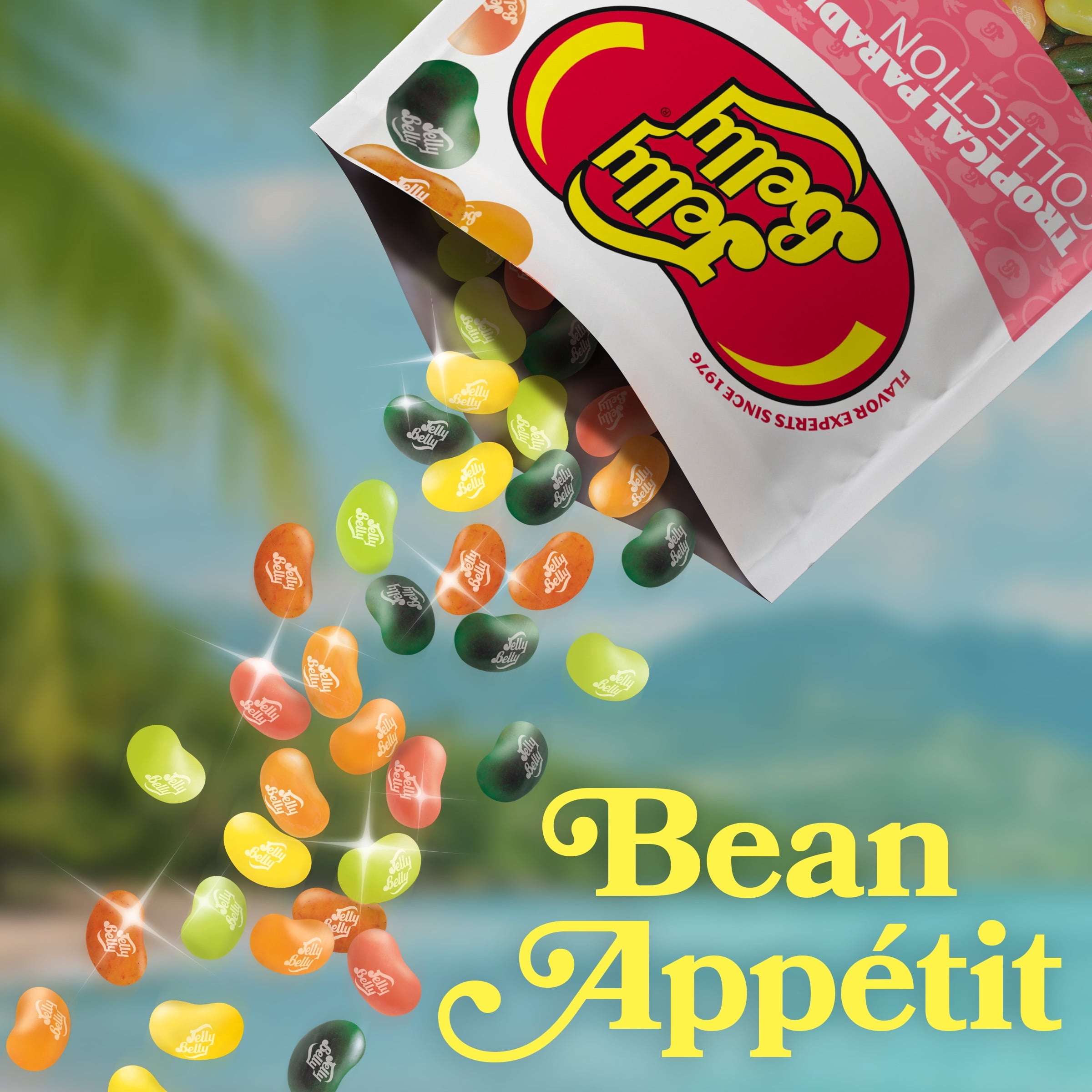 Jelly Belly Tropical Paradise Jelly Bean Collection - 6 oz Peg Bag, 12-Count Case - Genuine, Official, Straight from the Source