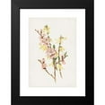 thumbnail image 2 of Alois Lunzer 14x18 Black Modern Framed Museum Art Print Titled - Peach Blossoms and Forsythia (1885), 2 of 5