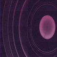 thumbnail image 1 of Ahgly Company Tapis d'Intérieur Lavable en Machine Carré Transitionnel Violet, 6 Pieds Carré, 1 of 7