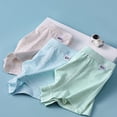 thumbnail image 4 of YTDSCS Teenage Boys Soft Cotton Underwear Boxer Briefs Developmental Dinosaur Four Corners Shorts 4pack Size L-4XL, 4 of 9