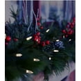 thumbnail image 5 of Sylvania Stay Lit Indoor/Outdoor 33 ft Plug-in Color Changing LED Light Ropes (4 Pack), 5 of 6